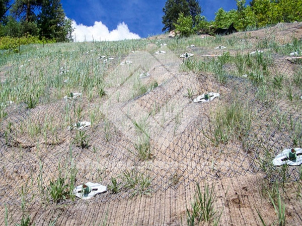Tecco Erosion Mat
