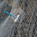 Slope Protection Netting